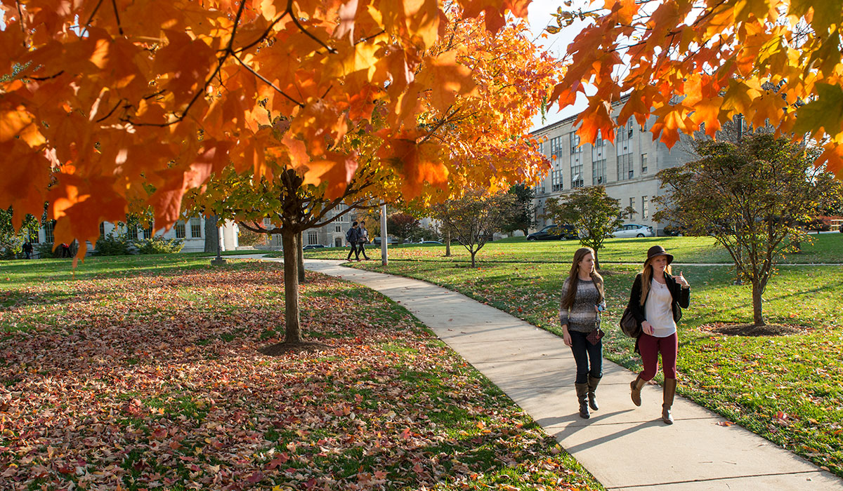 Students walking during fall